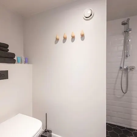 Premium Loft Mere Puiestee